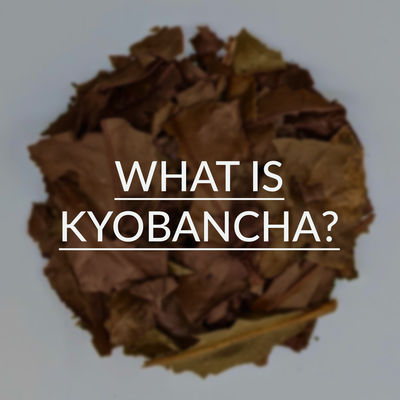What is Kyobancha?
